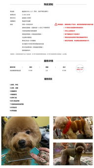 搜宠课堂丨给宠物狗梳理毛发应该注意什么